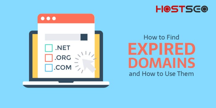 Bootstrap Business: New vs Expired Domain Names - An SEO Perspective